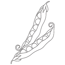 Coloriage pois - pois mange-tout