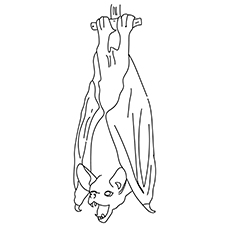 20 meilleures pages à colorier de chauve-souris que votre enfant adorera faire 39 Coloriages Hang On Bat