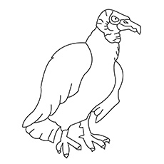 Le vautour