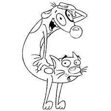 Chat chien