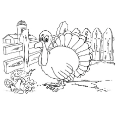 Coloriage - Dinde à la ferme