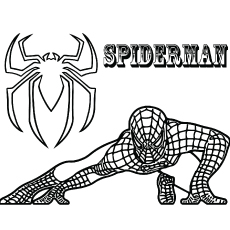 50 coloriages Spiderman 80 Coloriages Spiderman accroupis gratuits