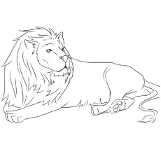 Les 20 meilleurs coloriages de lions que vos enfants adoreront colorier 26 Coloriage de Lion asiatique