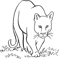 Les 20 meilleurs coloriages de lions que vos enfants adoreront colorier 33 Coloriage Lion De Montagne