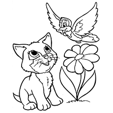 Le chaton jouant avec un oiseau