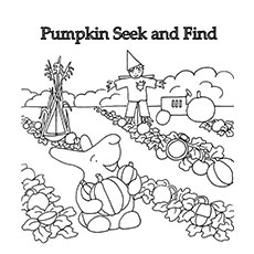 Citrouille recherche et trouve des pages à colorier