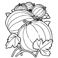 Groupe de citrouilles