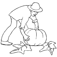 Cueillette de citrouille
