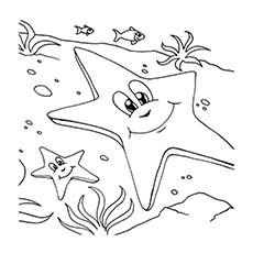 Top 10 coloriages d'étoiles de mer pour vos petits 19 Coloriage Etoile De Mer