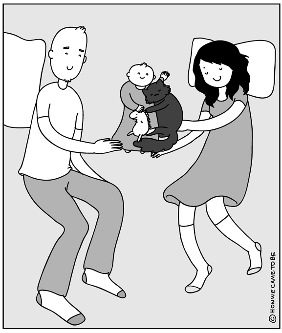 Le nouvel ami du chat