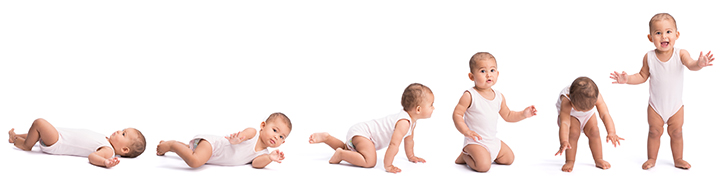 Les marcheurs peuvent retarder le développement moteur des bébés.