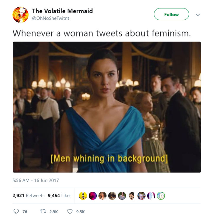 Problèmes de féminisme