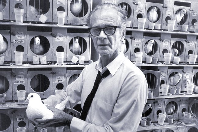 9 pionniers qui ont contribué à façonner l'histoire de la psychologie 23 BF Skinner