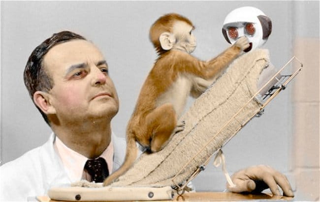 9 pionniers qui ont contribué à façonner l'histoire de la psychologie 28 Harry harlow
