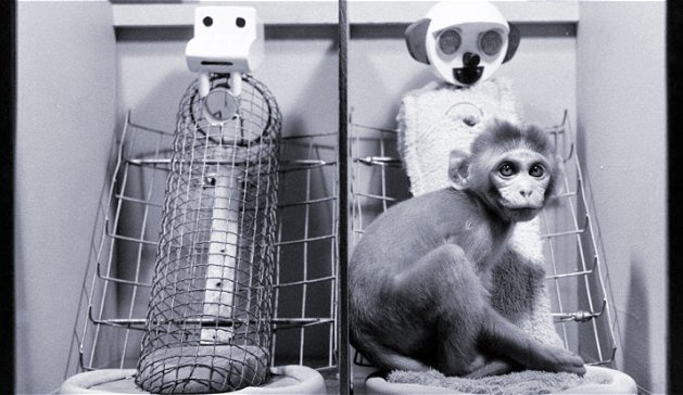 9 pionniers qui ont contribué à façonner l'histoire de la psychologie 29 Un singe avec sa mère