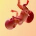 Sexe à 40 semaines de grossesse 9 bébé à 40 semaines