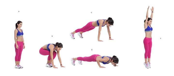 Burpee
