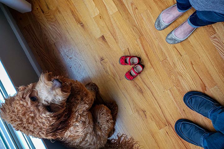 Laissez parler les pieds2