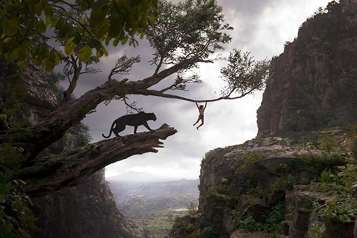  Le livre de la Jungle