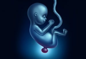 Défaut de naissance du spina bifida "width =" 1689 "height =" 1154 "srcset =" https://dinerados.com/wp-content/uploads/2020/05/1589049201_92_Defecto-de-nacimiento-del-tubo-neural -en-los-bebes.jpg 300w, https: //cdn.cdnparenting .com / articles / 2018/02/413502130-H-768x525.jpg 768w, https://cdn.cdnparenting.com/articles/2018/02 /413502130-H.jpg 1024w, https://cdn.cdnparenting.com /articles/2018/02/413502130-H-218x150.jpg 218w, https://cdn.cdnparenting.com/articles/2018/02/413502130 -H-696x476.jpg 696w, https://cdn.cdnparenting.com/articles/2018/02/413502130-H-614x420.jpg 614w "tailles =" (largeur maximale: 1689px) 100vw, 1689px
