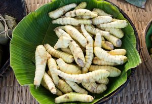 Arrowroot "width =" 768 "height =" 525 "srcset =" https://dinerados.com/wp-content/uploads/2020/05/1589056195_501_Arrowroot-para-bebes-el-alimento-ideal-para-el-destete -del.jpg 300w, https://cdn.cdnparenting.com/ articles / 2017/12/794134063-H-768x525.jpg 768w, https://cdn.cdnparenting.com/articles/2017/12/794134063-H .jpg 1024w, https://cdn.cdnparenting.com/articles/ 2017/12/794134063-H-218x150.jpg 218w, https://cdn.cdnparenting.com/articles/2017/12/794134063-H-696x476 .jpg 696w, https://cdn.cdnparenting.com/articles/ 2017/12/794134063-H-614x420.jpg 614w "tailles =" (largeur maximale: 768px) 100vw, 768px