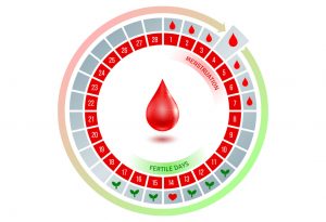 Ovulation: connaître les signes et symptômes courants 8 Ovulation: connaître les signes et symptômes courants 1589117666 90 Ovulacion conozca los signos y sintomas comunes