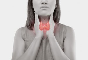 Femme montrant la position de la glande thyroïde "width =" 1196 "height =" 817 "srcset =" https://dinerados.com/wp-content/uploads/2020/05/1589128860_925_¿Puedo-quedar-embarazada-con -hypothyroidism.jpg 300w, https: / /cdn.cdnparenting.com/articles/2018/01/683224411-H-768x525.jpg 768w, https://cdn.cdnparenting.com/articles/2018/01/683224411-H .jpg 1024w, https: // cdn .cdnparenting.com / articles / 2018/01/683224411-H-218x150.jpg 218w, https://cdn.cdnparenting.com/articles/2018/01/683224411-H-696x476 .jpg 696w, https: // cdn .cdnparenting.com / articles / 2018/01/683224411-H-614x420.jpg 614w "tailles =" (largeur maximale: 1196px) 100vw, 1196px
