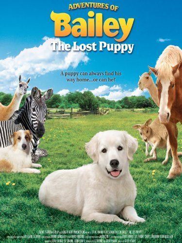 Adventures of Bailey "width =" 375 "height =" 500 "srcset =" https://pflegeboard.ch/fr/wp-content/uploads/2020/06/1589393132_364_12-interesantes-peliculas-cristianas-para-ninos.jpg 375w, https: // cdn. cdnparenting.com/articles/2020/03/17110547/Adventures-of-Bailey-315x420.jpg 315w "tailles =" (largeur maximale: 375px) 100vw, 375px