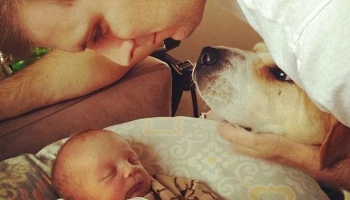 3 façons d'avoir un chien vous prépare à un bébé