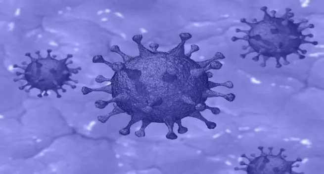 3 autres cas confirmés de coronavirus détectés au Tamil Nadu 5 covid-19