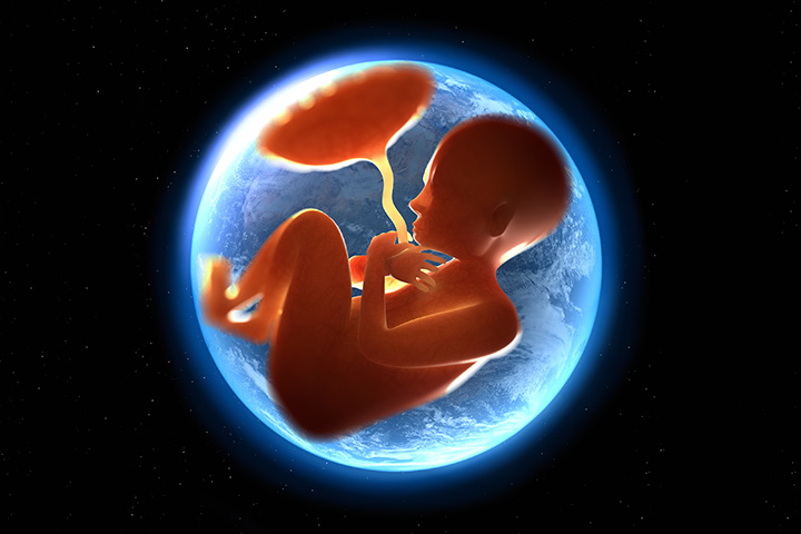 5 choses que vous ne saviez pas que votre bébé apprendrait dans l'utérus 7 Des choses que vous ne saviez pas que votre bébé apprendrait dans l'utérus