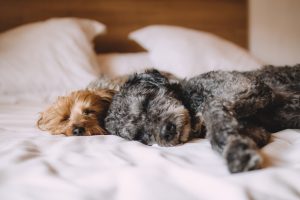 7 conseils pour une bonne routine de sommeil avec trouble bipolaire 7 consejos para una buena rutina de sueno con trastorno