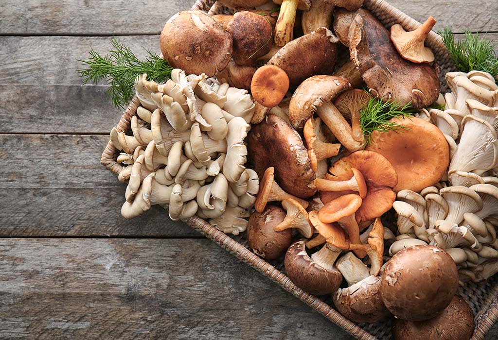 8 délicieuses recettes de champignons pour les enfants 8 8 recettes de champignons sains et délicieux pour les enfants
