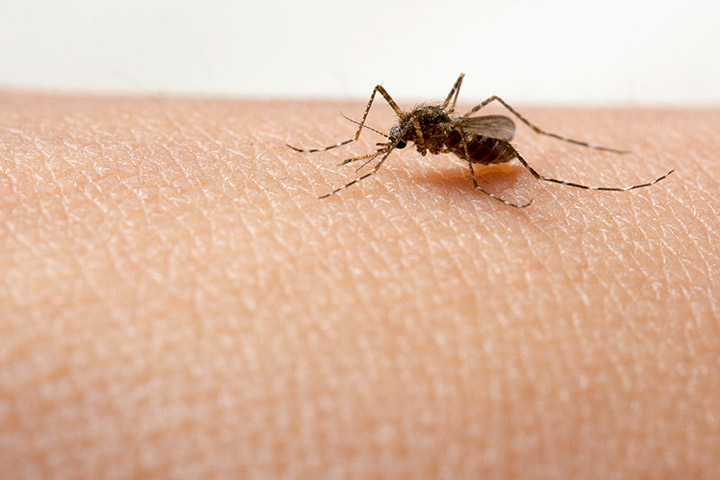 Symptômes de la dengue chez les bébés