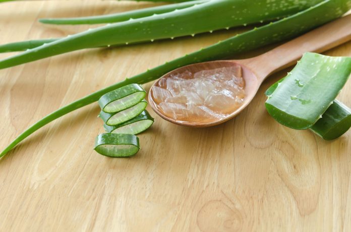 Aloe Vera pour les bébés