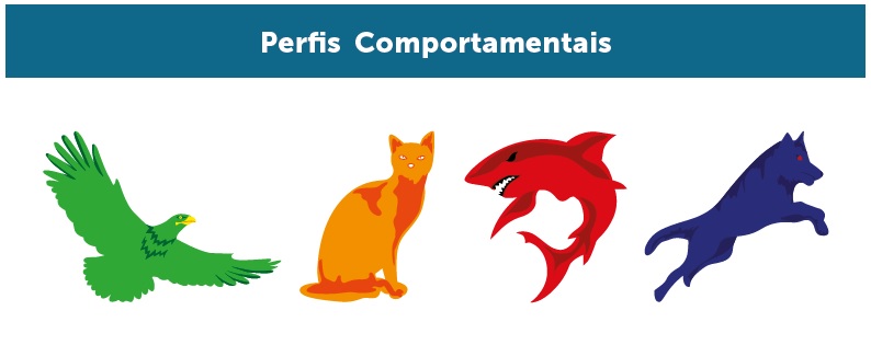 Profil de requin chat aigle loup