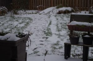 neige légère dans la cour arrière