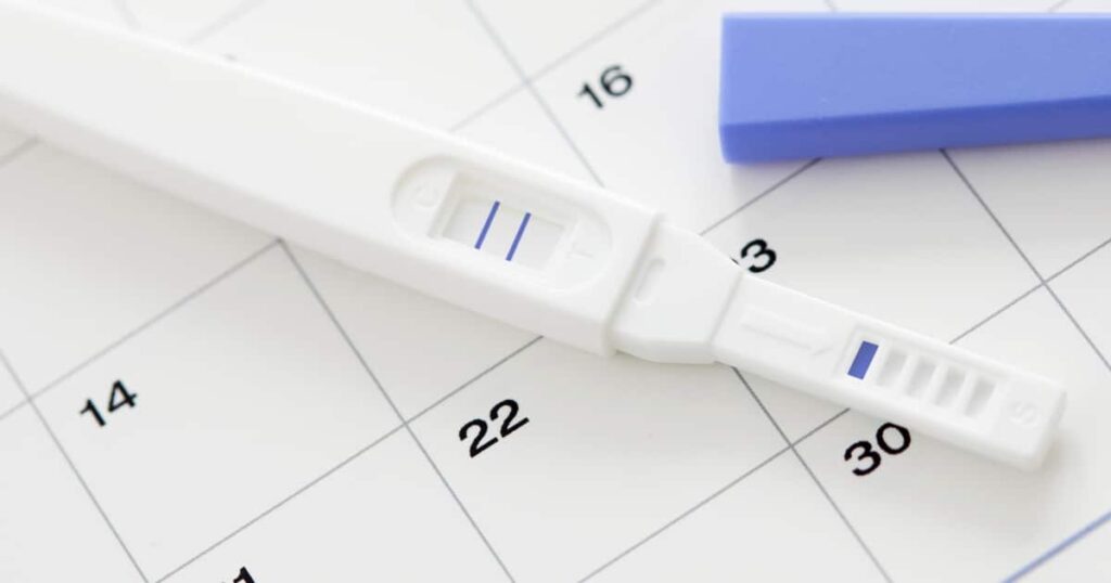 Calculatrice d'ovulation: découvrez les jours les plus fertiles de votre cycle menstruel