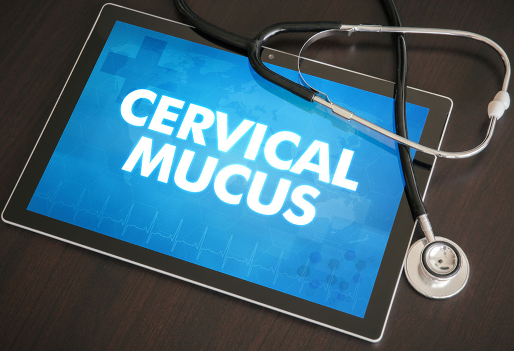 Comment augmenter la fertilité du mucus cervical 8 GLAIRE CERVICALE