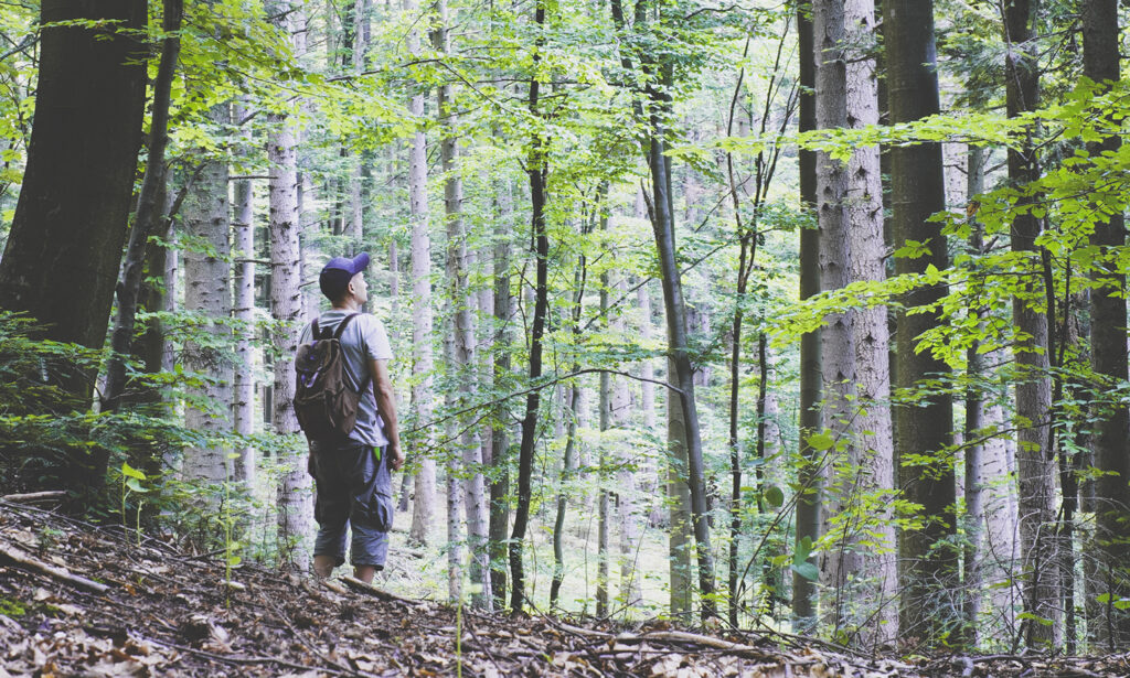 Faire face à la méditation sur l'incertitude