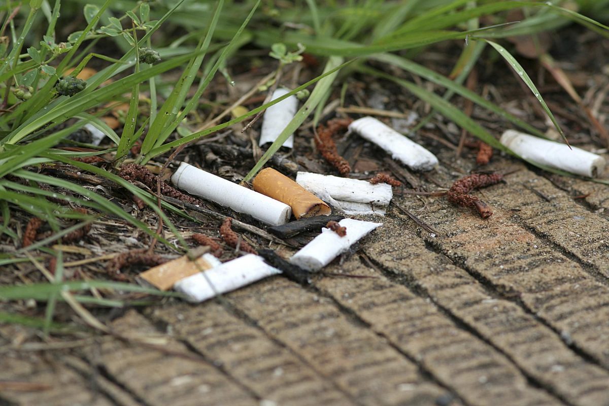 Comment les mégots de cigarette polluent l'environnement
