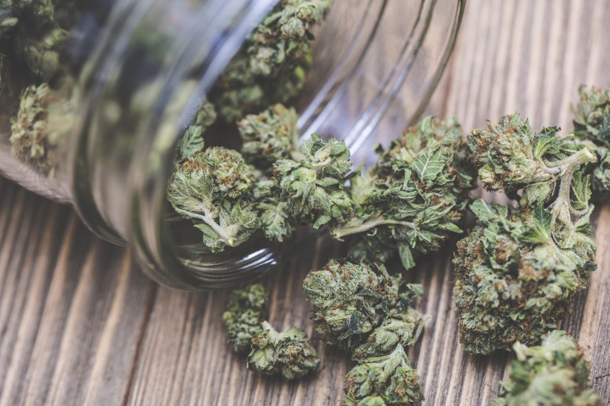 Faits de base sur la marijuana 3 Faits de base sur la marijuana