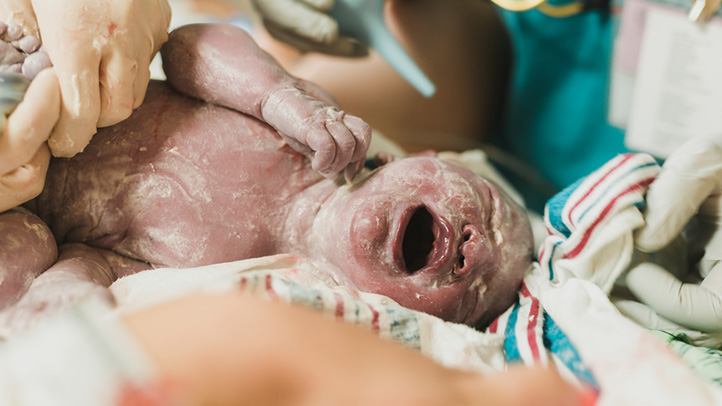 Des histoires de naissance auxquelles vous ne croirez pas 13 À quoi s'attendre Logo