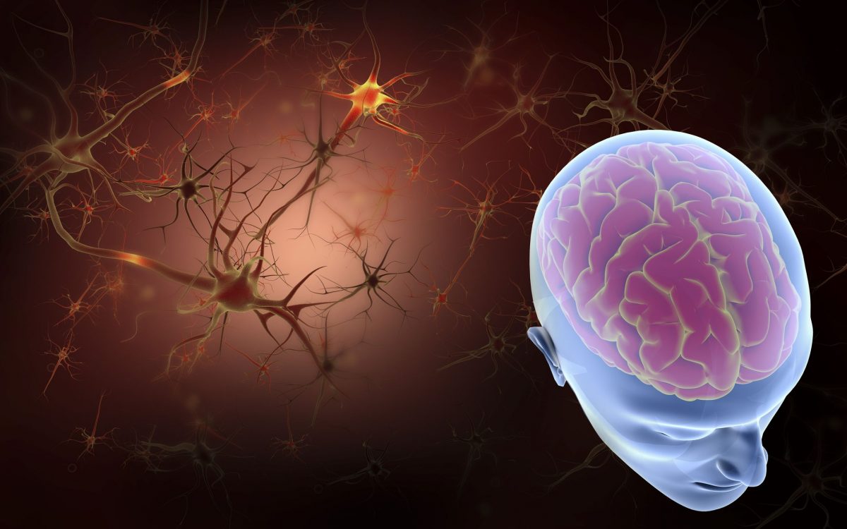 Effets de la nicotine sur le cerveau 7 Effets de la nicotine sur le cerveau