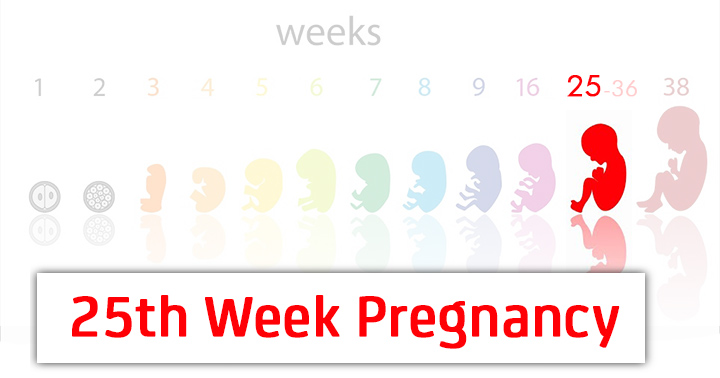 Enceinte de 25 semaines
