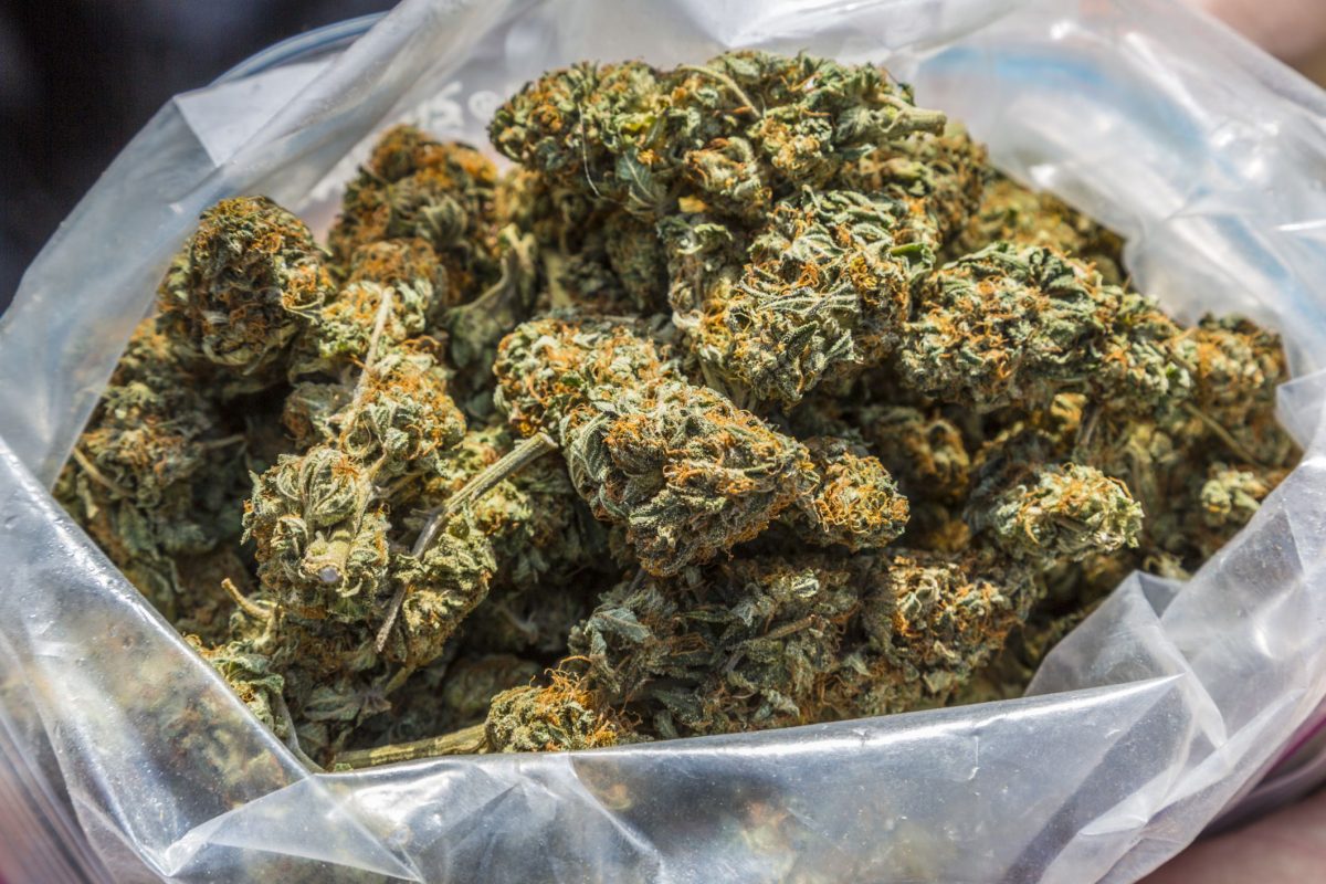 FAQ sur la marijuana pour les familles