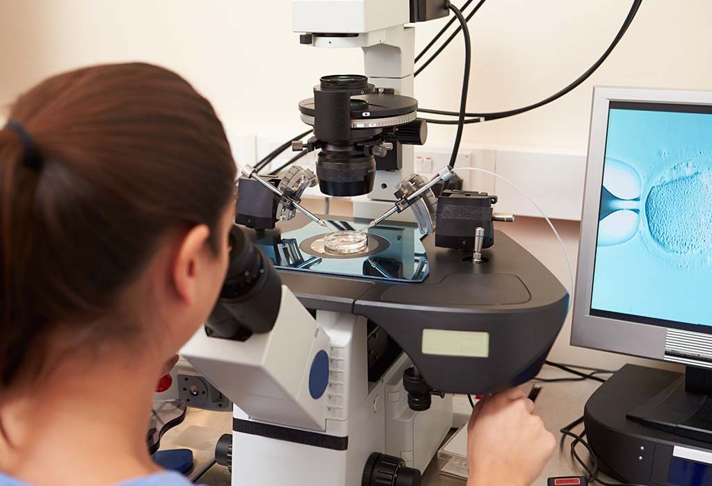 FIV: informations détaillées et de première main sur la procédure de My… 5 Fécondation en laboratoire d'oeufs
