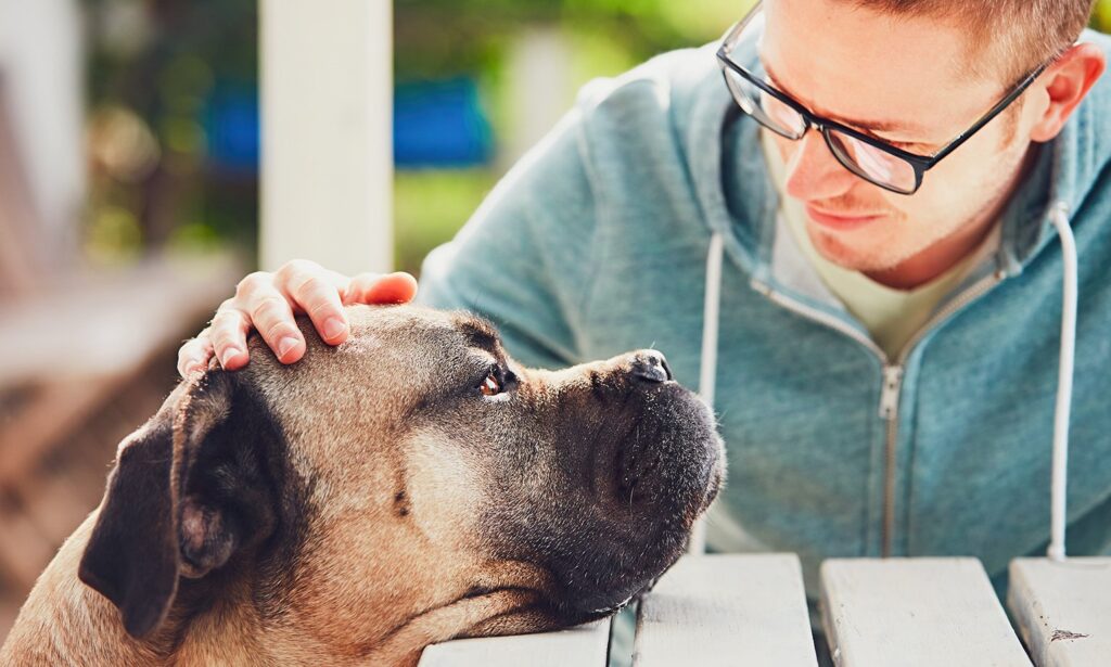 Faire face à la perte d'un animal de compagnie