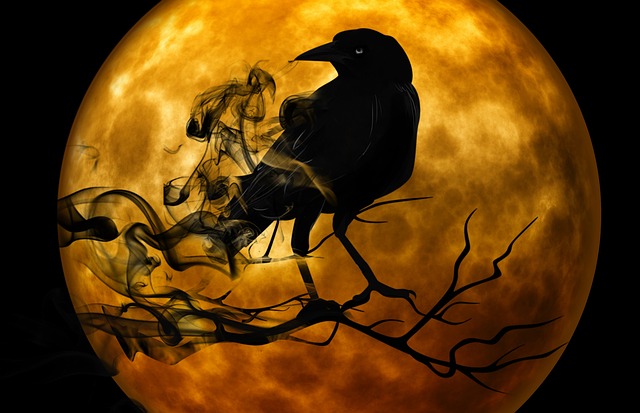 Halloween et autres chagrins d'amour Restez calme avec les adolescents 19 effrayant halloween photo