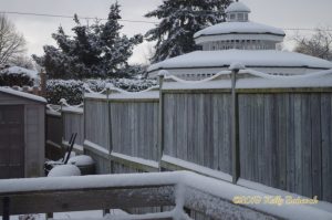 cour arrière avec garniture de neige